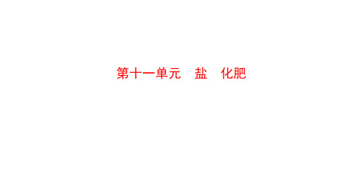 人教版化学总复习课件:第十一单元 盐 化肥(共32张PPT)