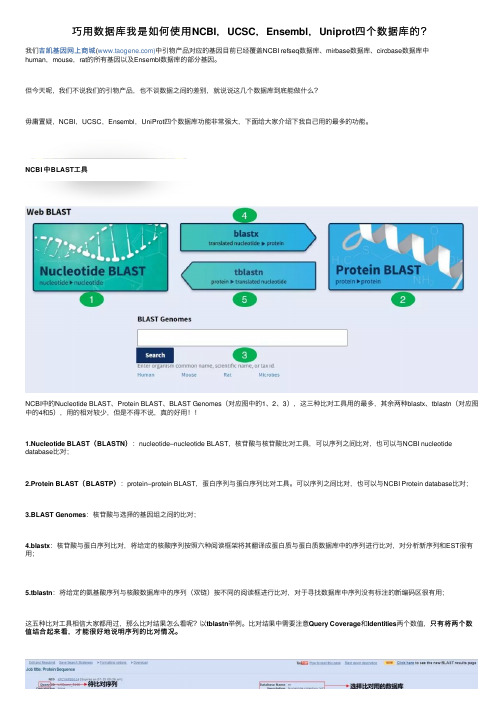 巧用数据库我是如何使用NCBI，UCSC，Ensembl，Uniprot四个数据库的？