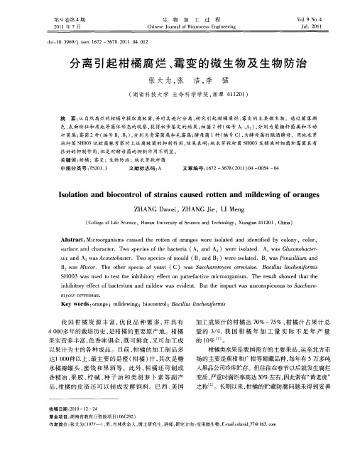 分离引起柑橘腐烂、霉变的微生物及生物防治