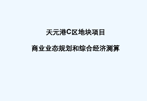 地块项目商业业态规划和综合经济测算