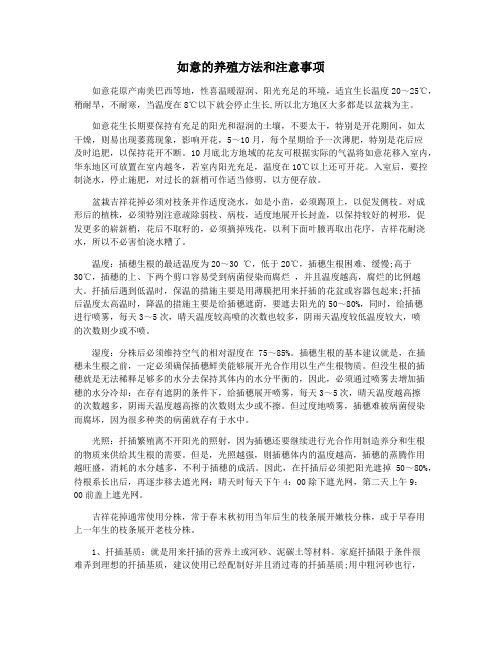 如意的养殖方法和注意事项