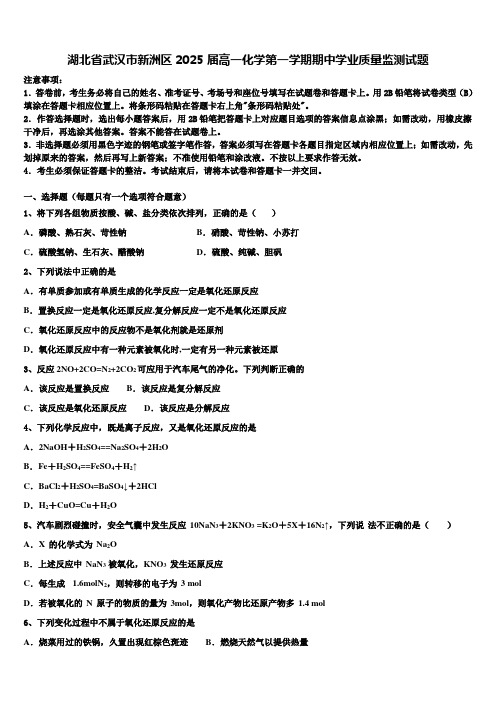 湖北省武汉市新洲区2025届高一化学第一学期期中学业质量监测试题含解析