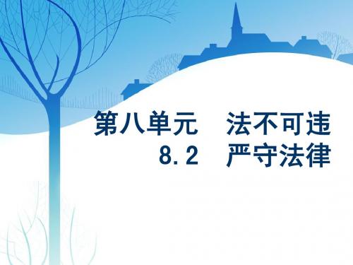 8.2严守法律第二课时55