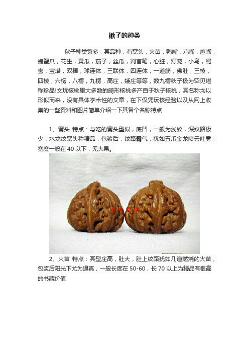 楸子的种类