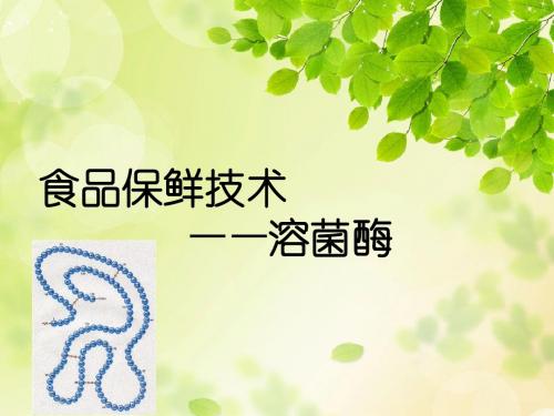 溶菌酶