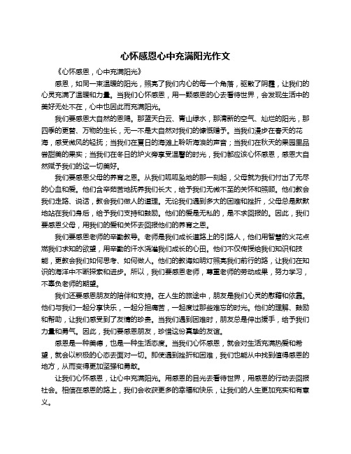 心怀感恩心中充满阳光作文