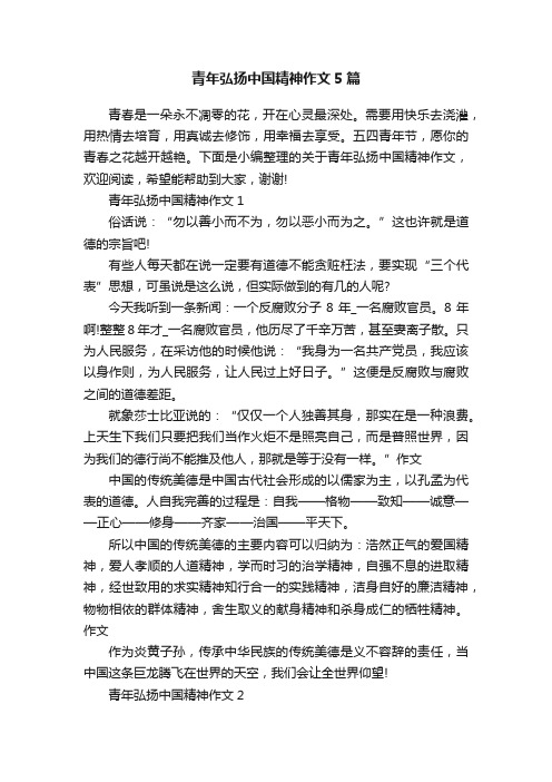 青年弘扬中国精神作文5篇