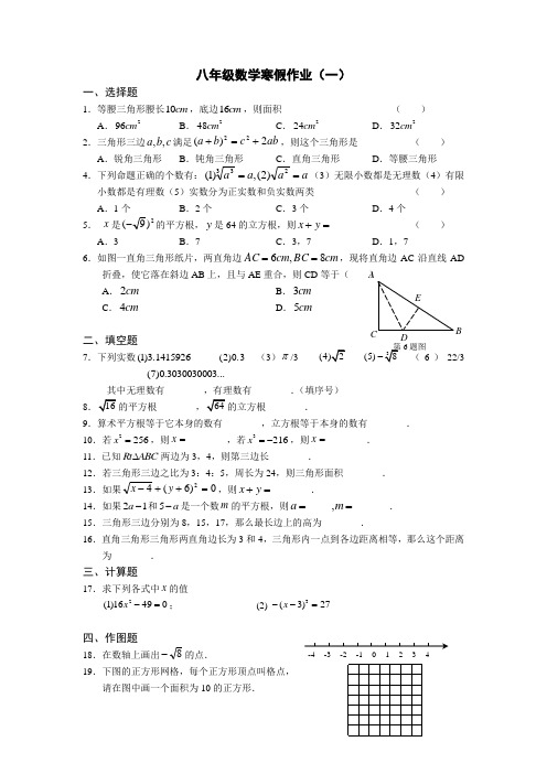 八年级数学寒假作业合集(共八套)