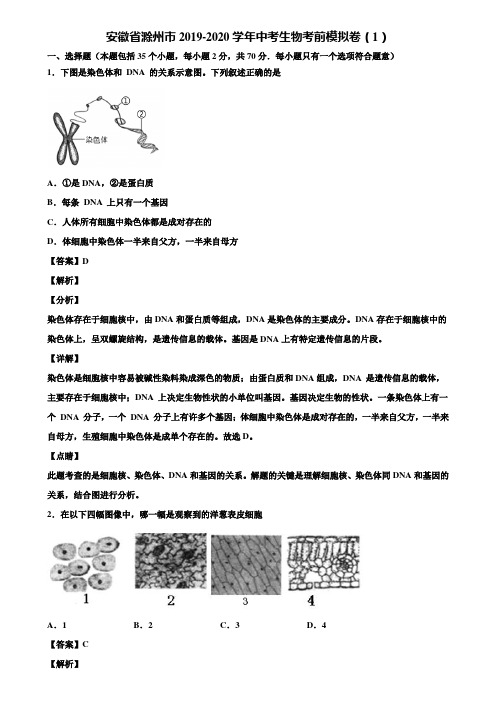 安徽省滁州市2019-2020学年中考生物考前模拟卷(1)含解析