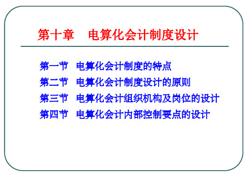 第十章-电算化会计制度设计-整理版