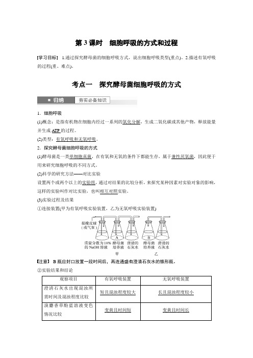 2024年高考生物一轮复习(新人教版) 第3单元 第3课时 细胞呼吸的方式和过程