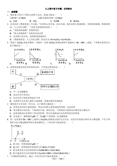 期中复习：化学专题浙教版九年级科学上学期