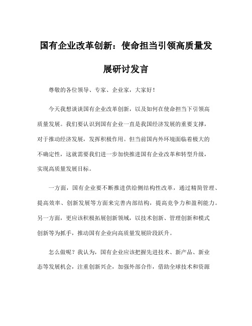 国有企业改革创新：使命担当引领高质量发展研讨发言