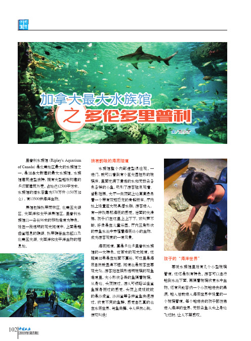 加拿大最大水族馆之多伦多里普利