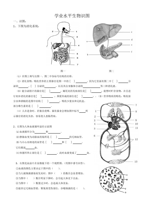 初中生物学业水平识图题(人教版)