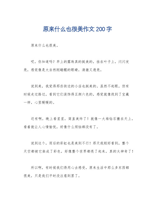 原来什么也很美作文200字