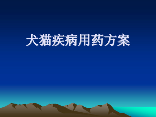 犬猫皮肤病用药方案
