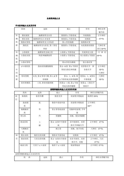 全身肌肉起止点