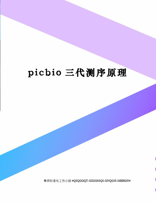 picbio三代测序原理