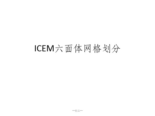 ICEM六面体网格划分