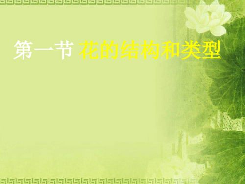 花的结构和类型PPT课件8 济南版