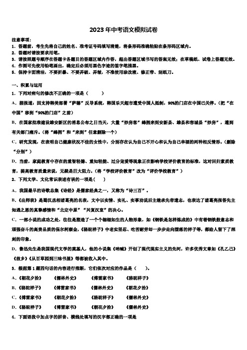 2022-2023学年安徽省阜阳市名校中考语文对点突破模拟试卷含解析