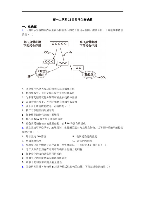 高一上学期12月月考生物试题