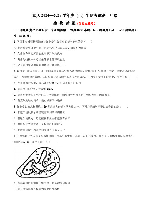 重庆市2024-2025学年高一上学期期中考试 生物含答案