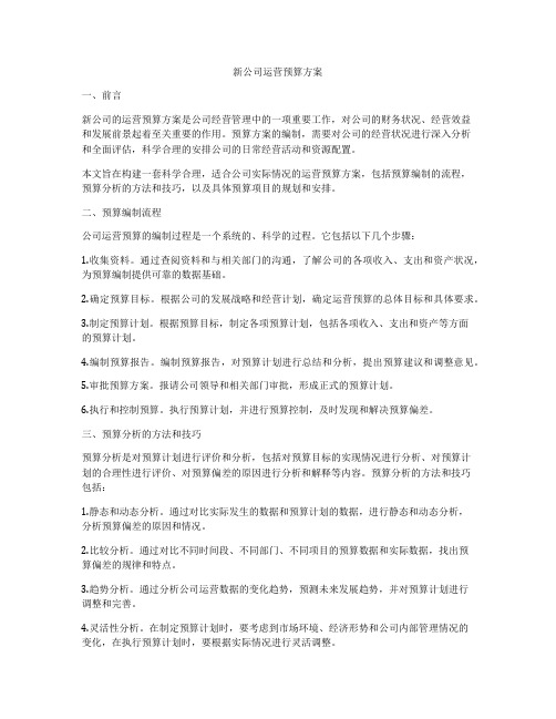 新公司运营预算方案