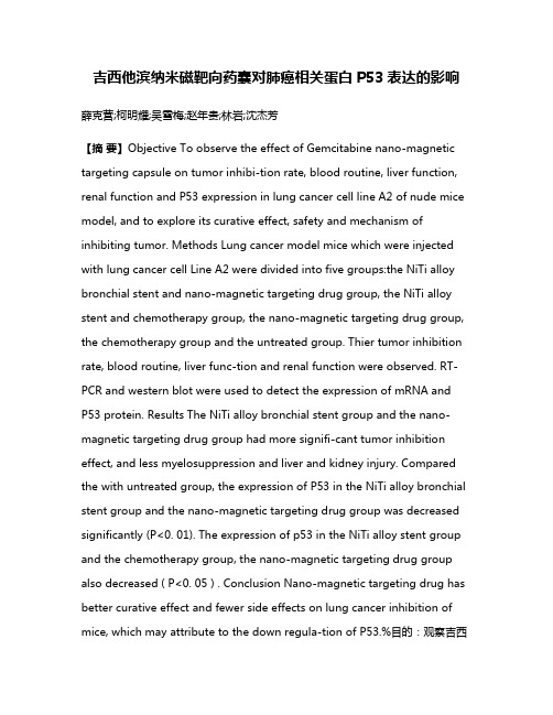 吉西他滨纳米磁靶向药囊对肺癌相关蛋白P53表达的影响