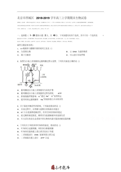 北京市西城区2019届高三上学期期末生物试卷Word版含解析