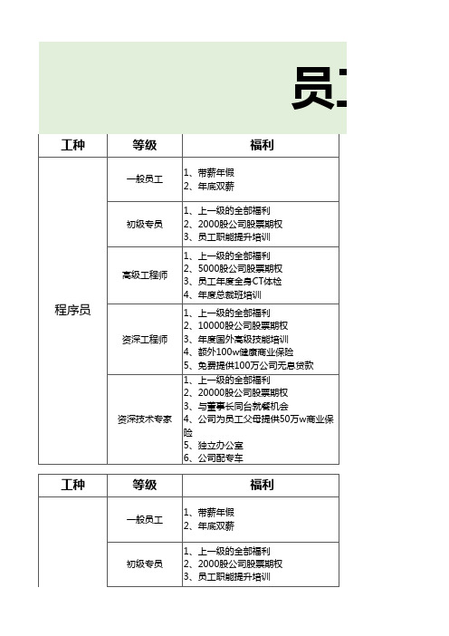 员工分级福利一览表模版