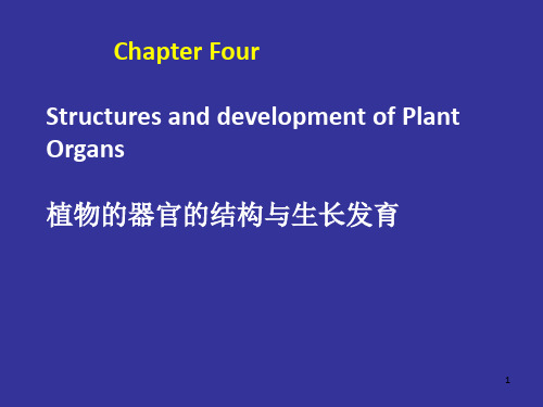 浙江大学2012植物学甲课件第04次课2008第01到