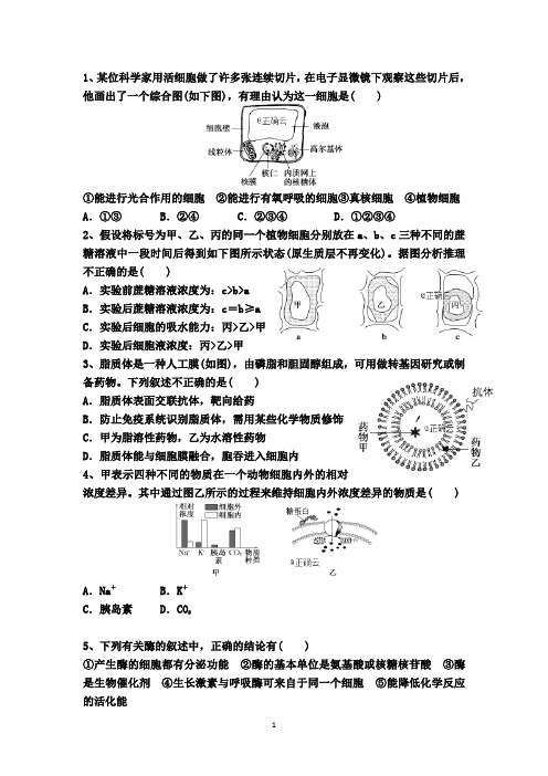 内蒙古自治区包头市第二中学2020届高三上学期10月月考生物试卷含答案 