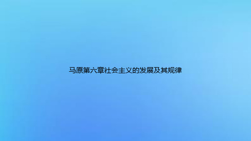 马原第六章社会主义的发展及其规律