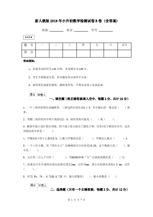 新人教版2019年小升初数学检测试卷B卷 (含答案)