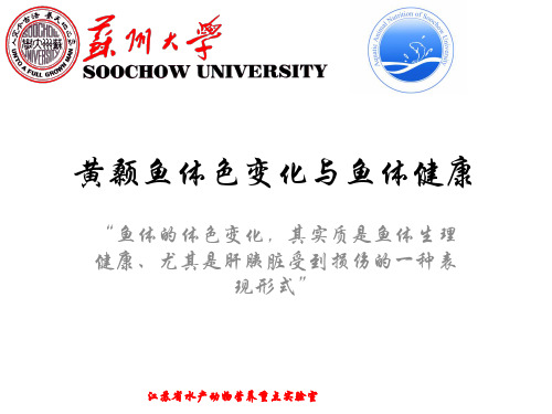 黄颡鱼体色变化与鱼体健康----叶元土