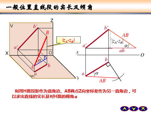 画法几何与工程制图2-1-复习