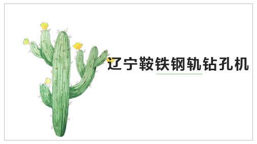 辽宁鞍铁钢轨钻孔机