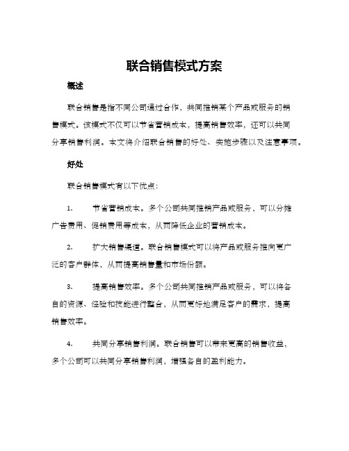 联合销售模式方案