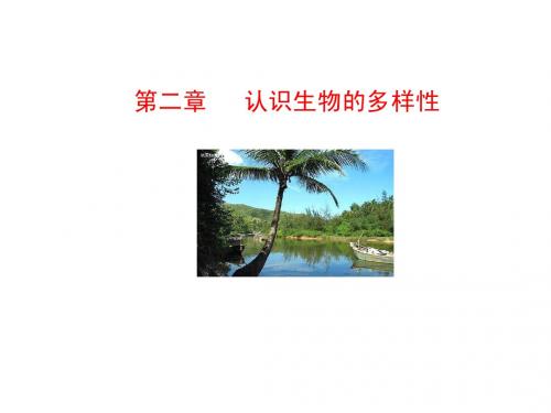 6.2认识生物的多样性 多媒体 课件(人教版八年级上)