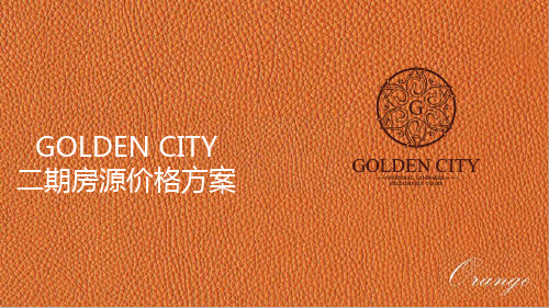 仰光GOLDEN CITY二期价格方案
