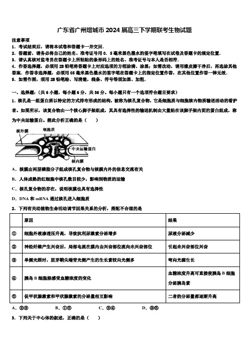 广东省广州增城市2024届高三下学期联考生物试题含解析