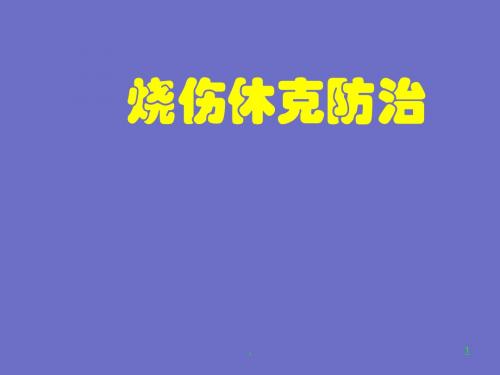 烧伤整形医院简介PPT医学课件