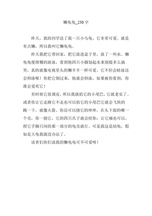 懒龟龟_250字