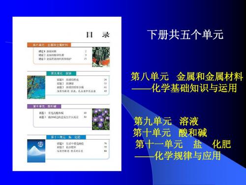 人教版九年级化学下册教材教法之探索8-12单元
