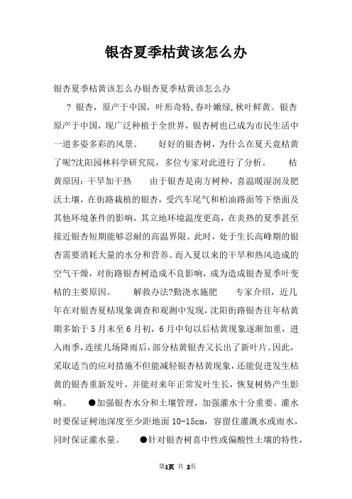 银杏夏季枯黄该怎么办