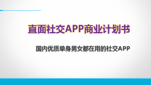 社交婚恋APP平台商业计划书