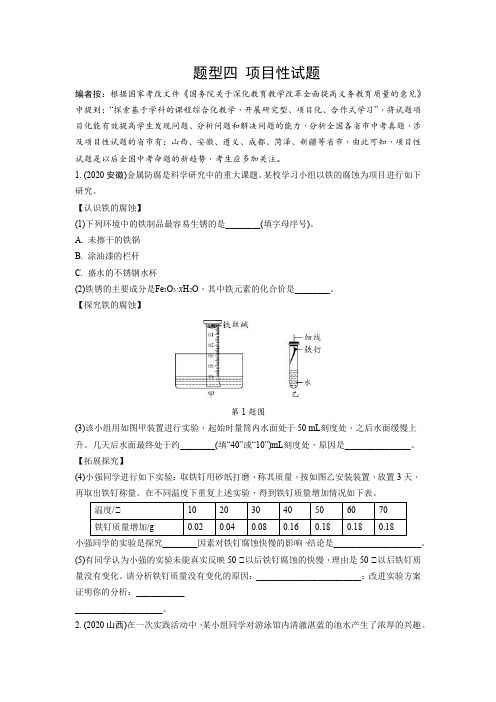 中考化学题型四 项目性试题