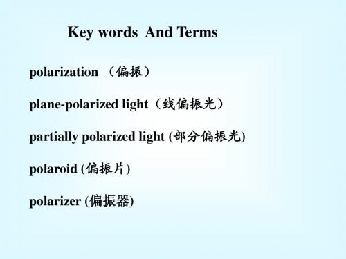 Chapter 19 Polarization